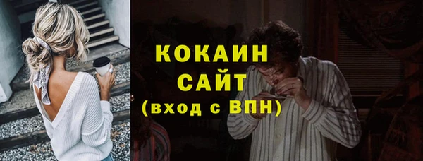 амф Алексин