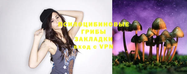 дурь Алексеевка