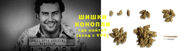 дурь Алексеевка