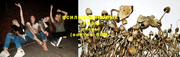 дурь Алексеевка